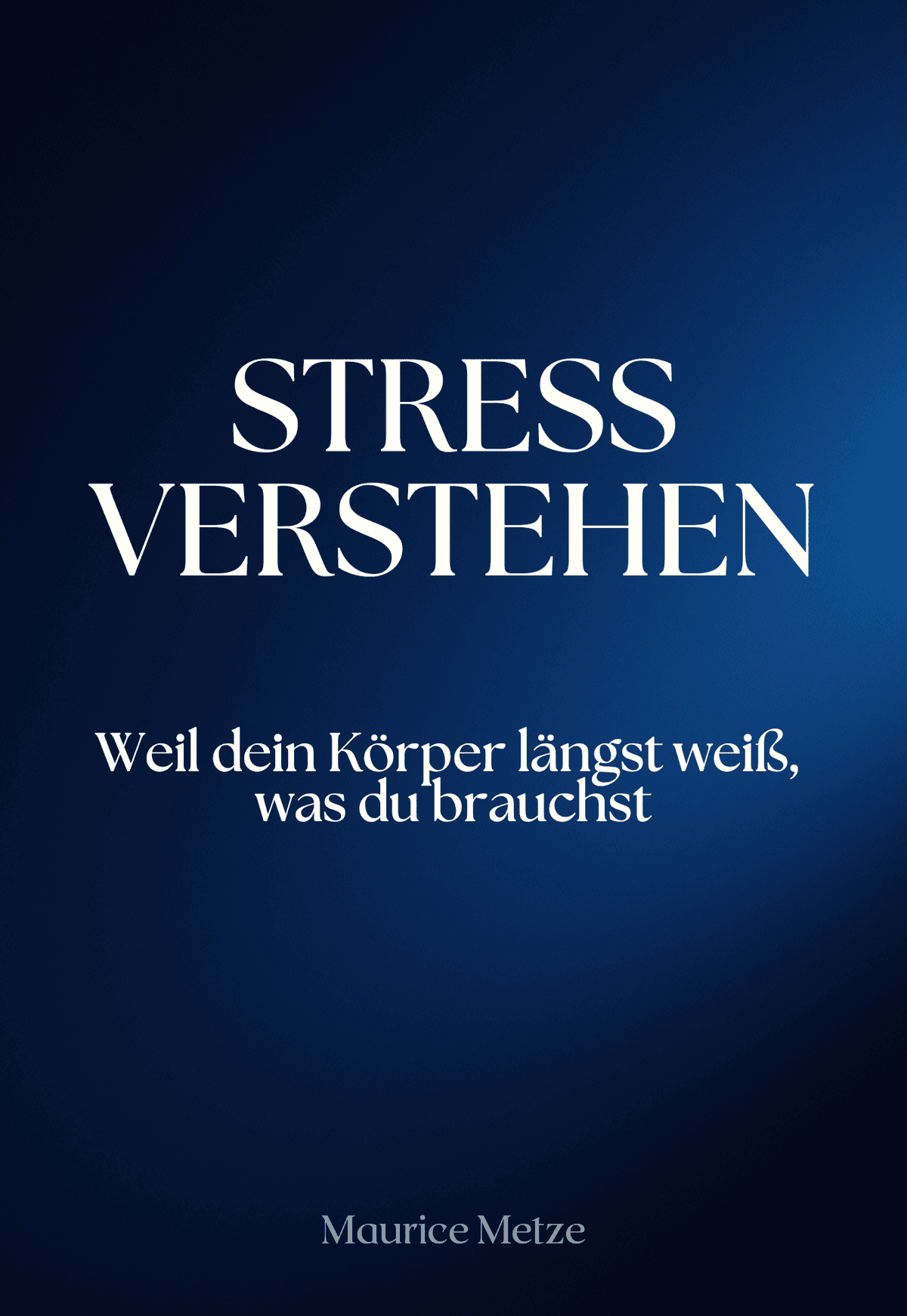 Stress verstehen - eBook Cover von Maurice Metze